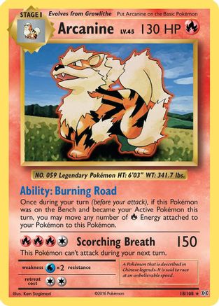 Arcanine 018/108  XY  Evolutions - Rare