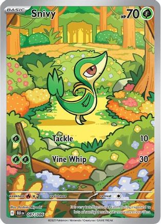 Snivy 087/086  - Holofoil SV Black Bolt - Illustration Rare