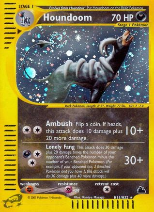 Houndoom (H11) H11  - Holofoil Skyridge - Holo Rare