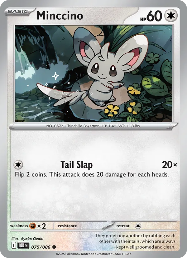 Minccino 075/086  - Reverse Holofoil SV Black Bolt - Common
