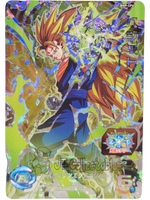 Vegetto BM9-CP4 BM Dragon Ball Heroes Campaign Promo